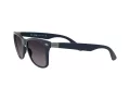 Ray-Ban Wayfarer Liteforce Aurinkolasit RB 4195 6331/8G