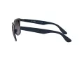 Ray-Ban Wayfarer Liteforce Aurinkolasit RB 4195 6331/8G