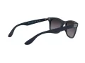 Ray-Ban Wayfarer Liteforce Aurinkolasit RB 4195 6331/8G