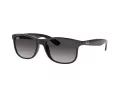 Ray-Ban Andy Aurinkolasit RB 4202 601/8G