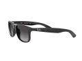 Ray-Ban Andy Aurinkolasit RB 4202 601/8G