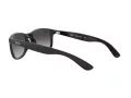 Ray-Ban Andy Aurinkolasit RB 4202 601/8G