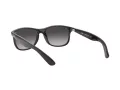 Ray-Ban Andy Aurinkolasit RB 4202 601/8G