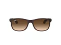 Ray-Ban Andy Aurinkolasit RB 4202 6073/13