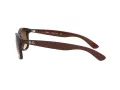 Ray-Ban Andy Aurinkolasit RB 4202 6073/13