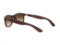 Ray-Ban Andy Aurinkolasit RB 4202 6073/13