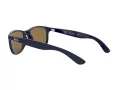 Ray-Ban Andy Aurinkolasit RB 4202 6153/55