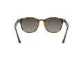Ray-Ban Aurinkolasit RB 4259 710/11
