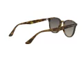 Ray-Ban Aurinkolasit RB 4259 710/11