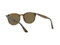 Ray-Ban Aurinkolasit RB 4259 710/73