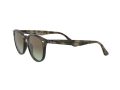 Ray-Ban Aurinkolasit RB 4259 731/E8