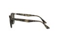 Ray-Ban Aurinkolasit RB 4259 731/E8