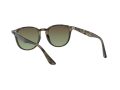 Ray-Ban Aurinkolasit RB 4259 731/E8