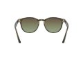 Ray-Ban Aurinkolasit RB 4259 731/E8
