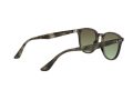 Ray-Ban Aurinkolasit RB 4259 731/E8