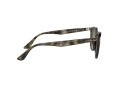 Ray-Ban Aurinkolasit RB 4259 731/E8