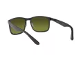 Ray-Ban Aurinkolasit RB 4264 876/6O