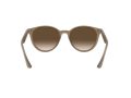 Ray-Ban Aurinkolasit RB 4305 6166/13