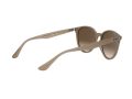 Ray-Ban Aurinkolasit RB 4305 6166/13