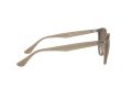 Ray-Ban Aurinkolasit RB 4305 6166/13