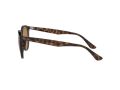Ray-Ban Aurinkolasit RB 4305 710/83
