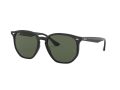 Ray-Ban Aurinkolasit RB 4306 601/71