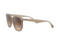 Ray-Ban Aurinkolasit RB 4306 616613