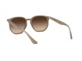 Ray-Ban Aurinkolasit RB 4306 616613