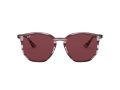 Ray-Ban Aurinkolasit RB 4306 6431/75