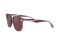 Ray-Ban Aurinkolasit RB 4306 6431/75