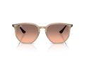 Ray-Ban Aurinkolasit RB 4306 678846