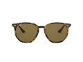 Ray-Ban Aurinkolasit RB 4306 710/73