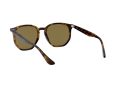 Ray-Ban Aurinkolasit RB 4306 710/73