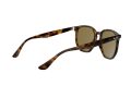 Ray-Ban Aurinkolasit RB 4306 710/73