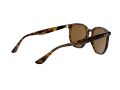Ray-Ban Aurinkolasit RB 4306 710/83