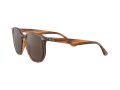 Ray-Ban Aurinkolasit RB 4306 820/73