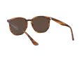 Ray-Ban Aurinkolasit RB 4306 820/73