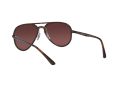 Ray-Ban Aurinkolasit RB 4320/CH 710/6B