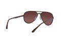 Ray-Ban Aurinkolasit RB 4320/CH 710/6B