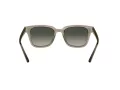 Ray-Ban Aurinkolasit RB 4323 644971