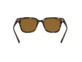 Ray-Ban Aurinkolasit RB 4323 710/33