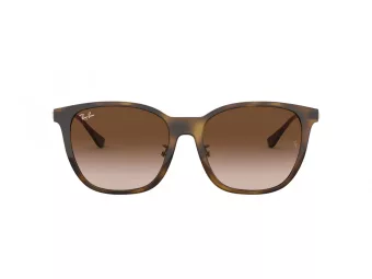 Ray-Ban Aurinkolasit RB 4333D 710/13