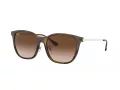 Ray-Ban Aurinkolasit RB 4333D 710/13