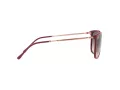 Ray-Ban Aurinkolasit RB 4344 653432