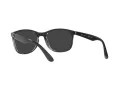 Ray-Ban Aurinkolasit 4374 603948