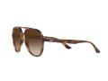 Ray-Ban Aurinkolasit RB 4376 710/13
