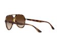 Ray-Ban Aurinkolasit RB 4376 710/13