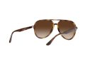 Ray-Ban Aurinkolasit RB 4376 710/13