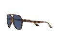 Ray-Ban Aurinkolasit RB 4376 710/80