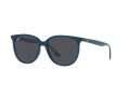 Ray-Ban Aurinkolasit RB 4378 669487